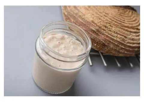 Basic Ingredients - Premium Sourdough Cultures for Authentic Baking