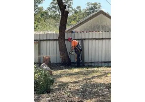 Tree Loppers Ipswich
