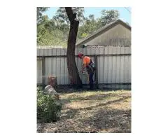 Tree Loppers Ipswich