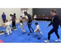 Top Information About Family Karate Classes from AMAF Australia