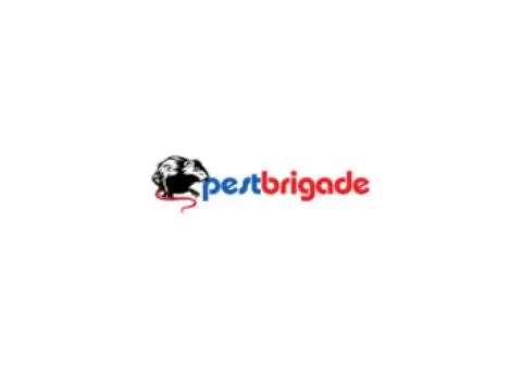 Cost-effective Pest Control Solutions for Household and Commercial Services