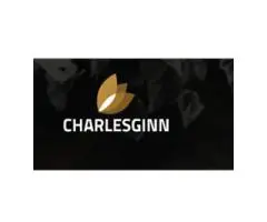 Charles Ginn Art Solutions