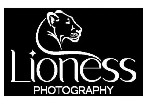 Lioness Photography