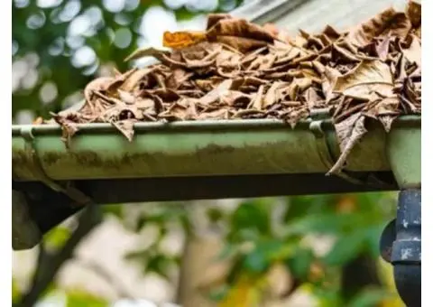 Professional Gutter Cleaning in Chelsea – Fast & Reliable