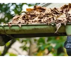 Professional Gutter Cleaning in Chelsea – Fast & Reliable