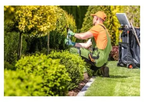 Expert Landscaping and Gardening Services in Sydney for Beautiful Outdoor Spaces - 3/4