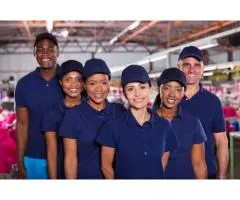 Reliable Energy Efficient Products in Australia