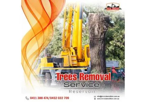 Witness Safe and Reliable Trees Removal Service for Any Property