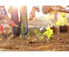 Lawn Mowing Hoppers Crossing - I love gardening