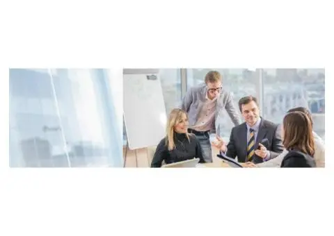 International Business Mentors - 1/9