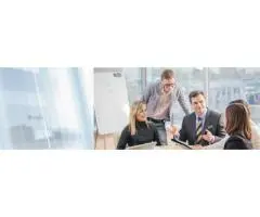 International Business Mentors