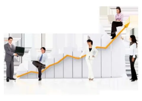 International Business Mentors - 6/9