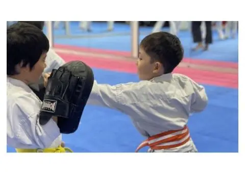 Discover Quality Kids Karate Classes and Martial Arts of AMAF Australia