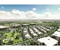 Town Development Services in Gold Coast