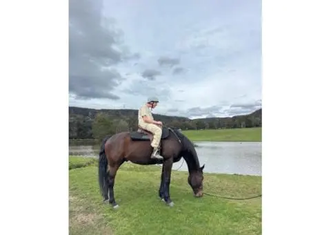 Disability Day Programs, Recreational Programs & Activities in Sydney - 8/9