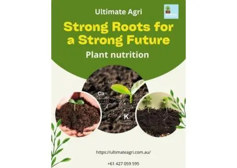 Plant nutrition