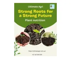 Plant nutrition
