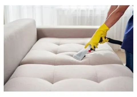 Why Upholstery Cleaning Is Essential for Pet Owners ? - 2/2