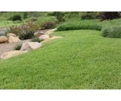 Laying Turf Sydney: Achieve a Perfect Green Lawn with Ease