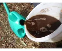 Certified Organic Fertiliser Boost Your Garden with Soil Dynamics.