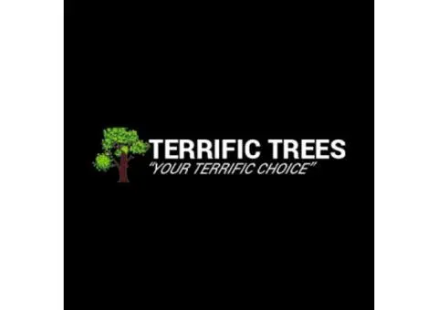 Eucalyptus Tree Services