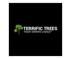 Eucalyptus Tree Services