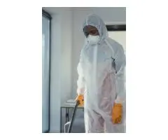 Why North Shore Homeowners Choose Professional House Washing Over DIY