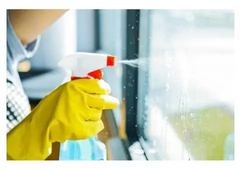 Sparkling Results with Professional Window Cleaning in Toorak