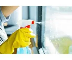 Sparkling Results with Professional Window Cleaning in Toorak