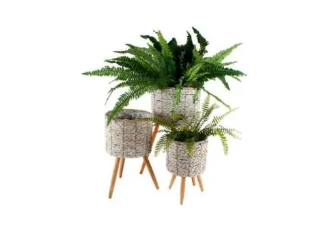 Premium Plant Pots for Indoor & Outdoor Spaces