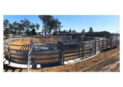 How Does Proper Layout in Cattle Yards Help Prevent Injuries?