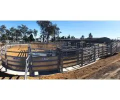 How Does Proper Layout in Cattle Yards Help Prevent Injuries?