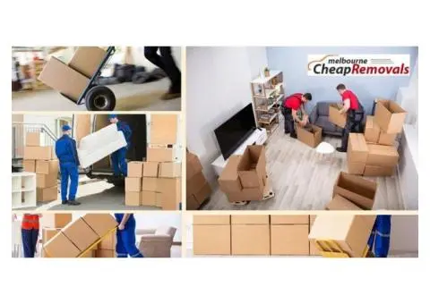 When Music Meets Motion