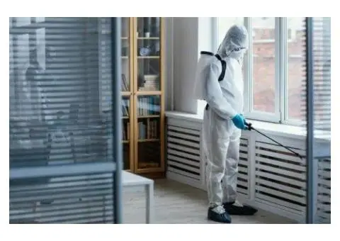 Residential Pest Control – Safe, Local & Pet Friendly