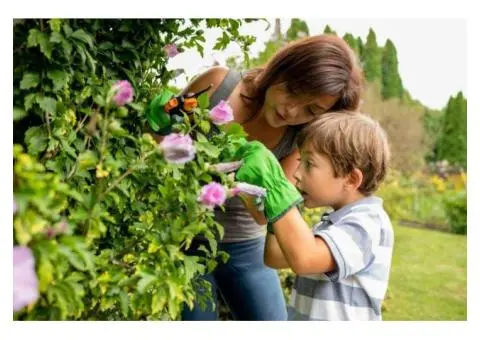 Build Independent Living Skills with NDIS Support in Perth WA - 3/4
