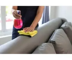 Upholstery cleaning gold coast  Ezydry