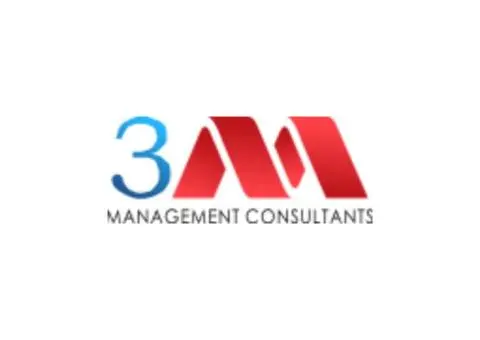 3M Management Consultants