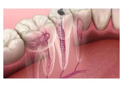 McClane Dentistry - 5/5
