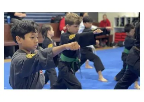 Build a Strong Foundation with Kids Karate Classes of AMAF