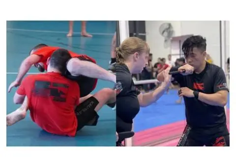 Top Information About Mixed Martial Arts vs Kali: Which suits you best?