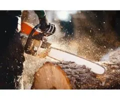 Tree Lopping Sydney North Shore