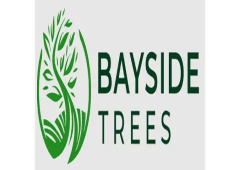 Bayside Trees | Tree Removal & Pruning
