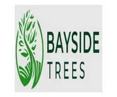Bayside Trees | Tree Removal & Pruning