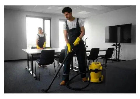 Refresh Your Carpets with Expert Steam Cleaning in Cranbourne
