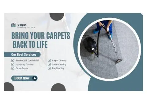 Carpet Cleaning Berwick – Where Clean Carpets Meet Expert Care