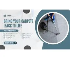 Carpet Cleaning Berwick – Where Clean Carpets Meet Expert Care