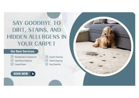 Carpet Cleaning Dandenong – Eco-Friendly Cleaning, Exceptional Results