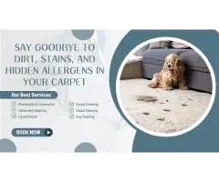 Carpet Cleaning Dandenong – Eco-Friendly Cleaning, Exceptional Results