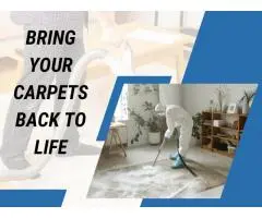 Carpet Cleaning Epping – Clean Carpets, Happy Homes