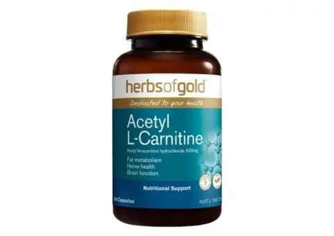 Power Up Naturally with Herbs of Gold Acetyl L-Carnitine Capsules